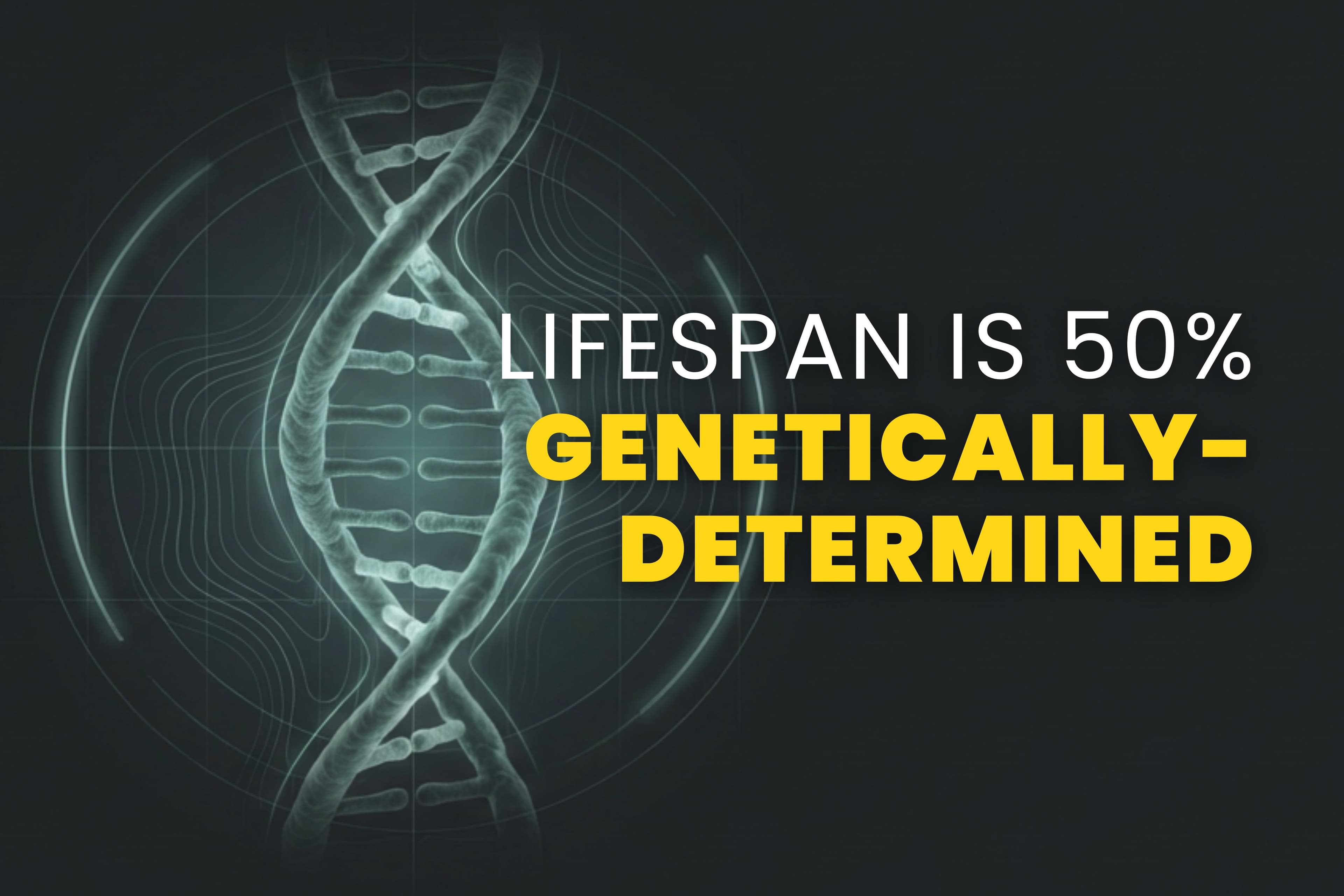 The Longevity Letter 15 Is 50 Of Your Lifespan Already Decided