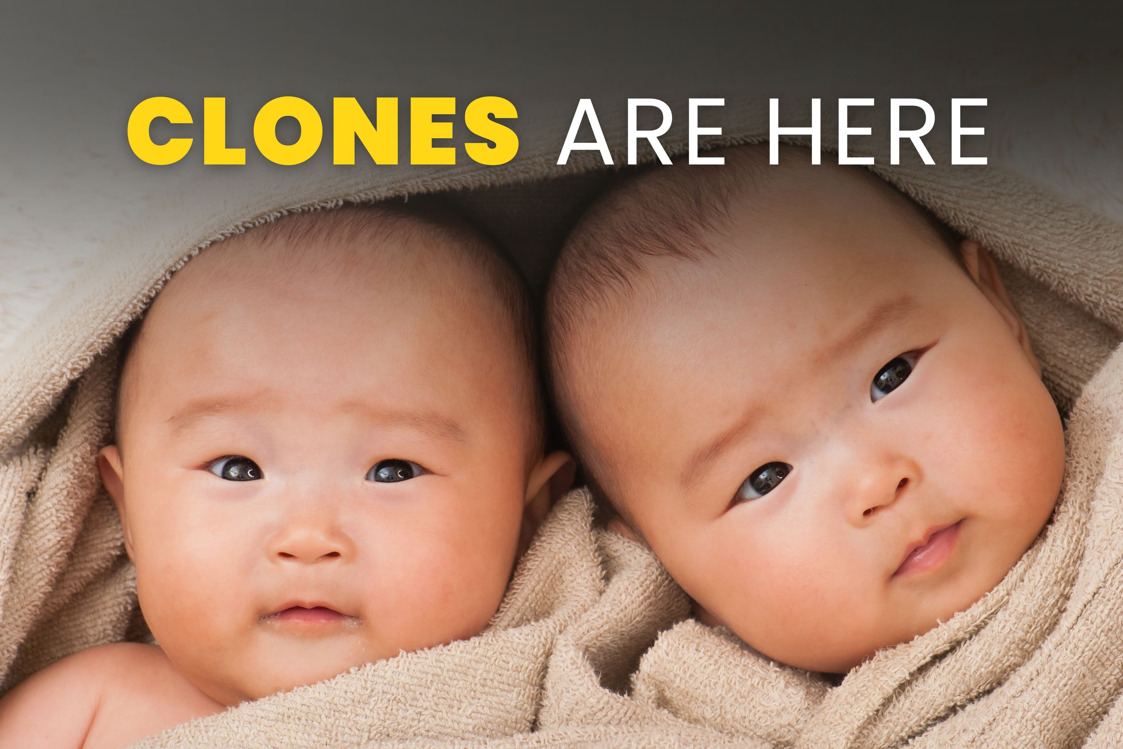 The Longevity Letter #13: Your Clone, Your Organs—And Maybe Your 150-Year Lifespan