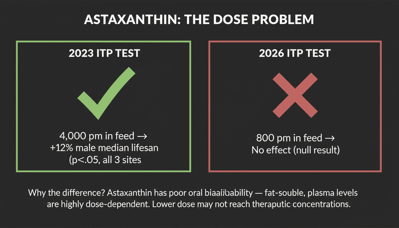 Astaxanthin ITP dose comparison showing a 2023 positive result and a 2026 null result