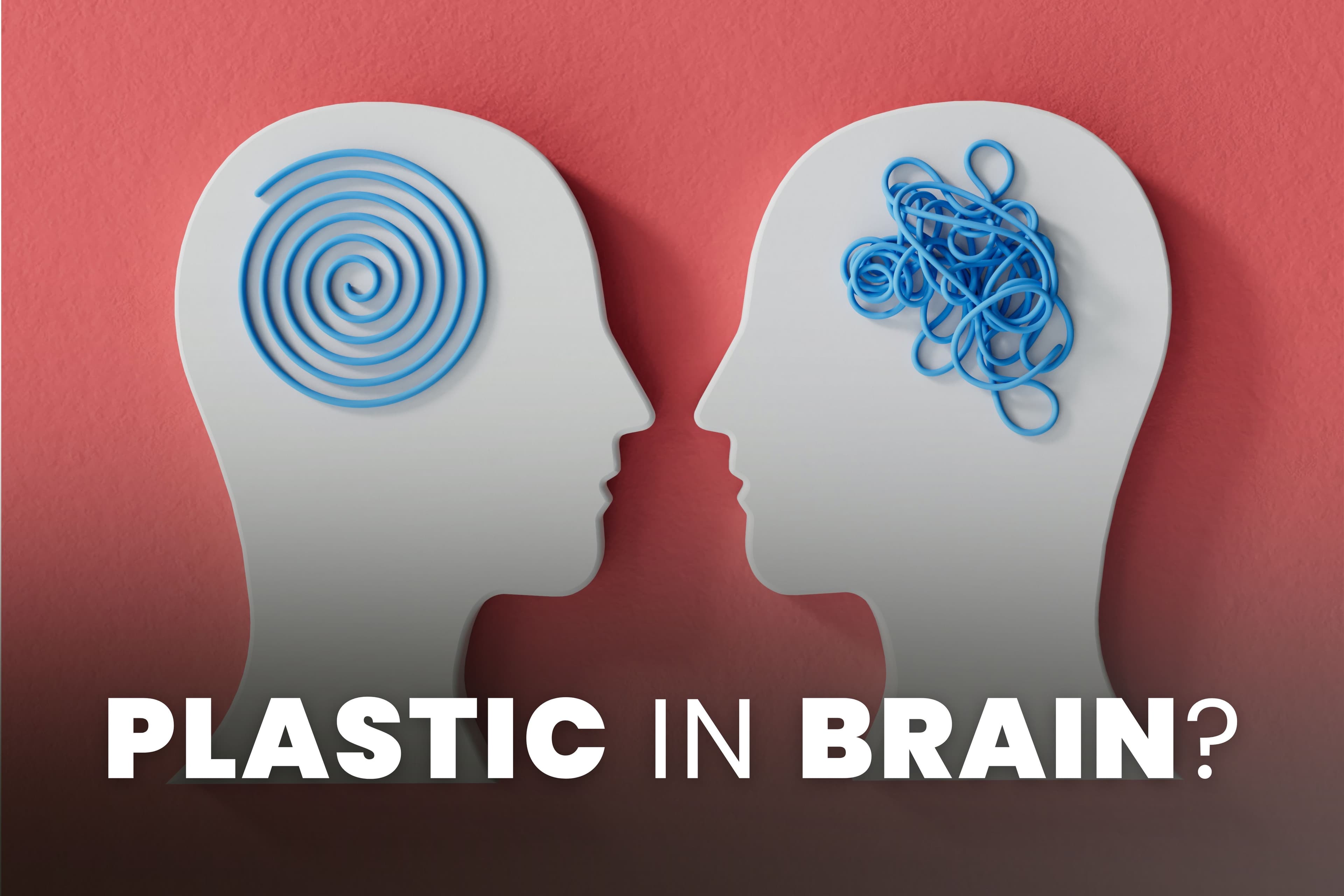 Hillary Lin MD's Longevity Letter issue 11 covering peptide therapy risks, microplastic brain effects, and hidden dangers in healthy snack bars
